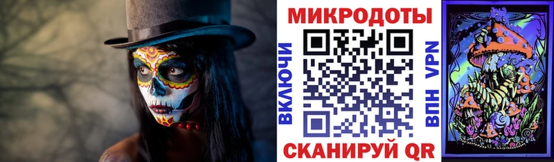 Галлюциногенные грибы Psilocybe Билибино