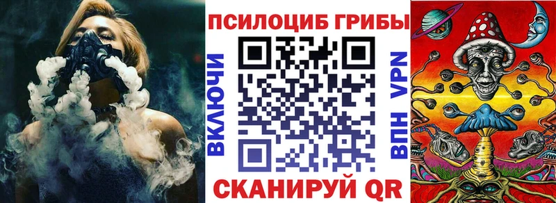 Галлюциногенные грибы Psilocybe  Купить  Билибино 